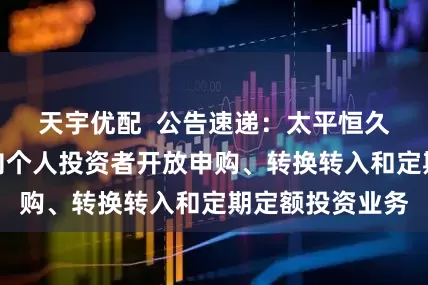 天宇优配  公告速递：太平恒久纯债基金暂停向个人投资者开放申购、转换转入和定期定额投资业务