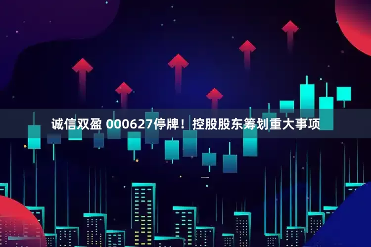 诚信双盈 000627停牌！控股股东筹划重大事项