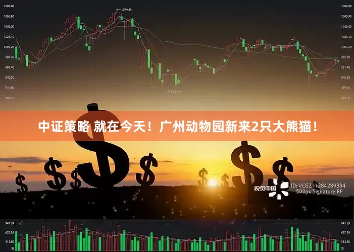 中证策略 就在今天！广州动物园新来2只大熊猫！