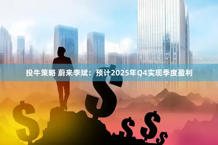 投牛策略 蔚来李斌：预计2025年Q4实现季度盈利